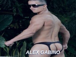 ALEX_GABINO