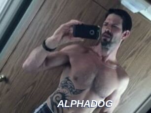 ALPHADOG