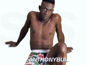 ANTHONYBUIL