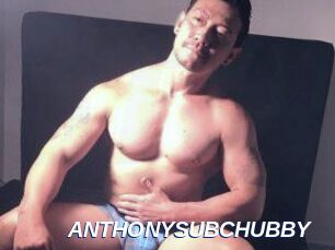 ANTHONYSUBCHUBBY