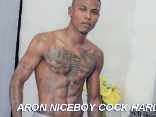 ARON_NICEBOY_COCK_HARD