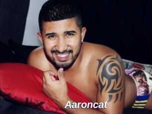 Aaroncat