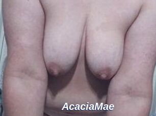 AcaciaMae