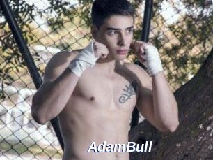 AdamBull