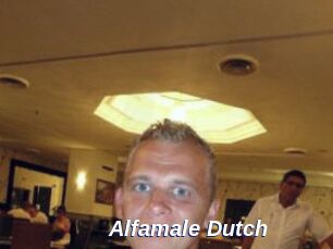 Alfamale_Dutch