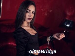 AlmaBridge