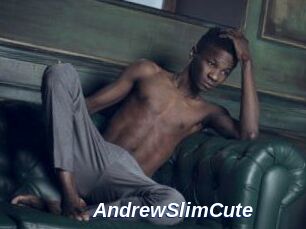 AndrewSlimCute