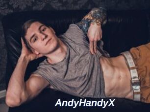 AndyHandyX