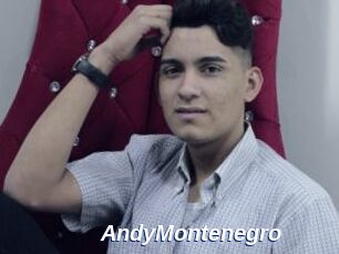 AndyMontenegro