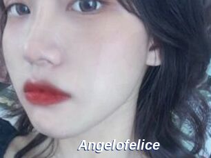 Angelofelice