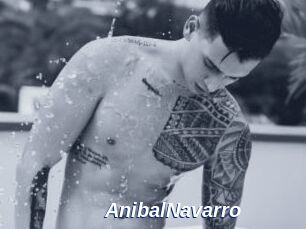 AnibalNavarro