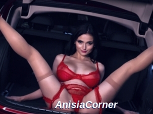 AnisiaCorner