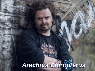 Arachnis_Chiropterus