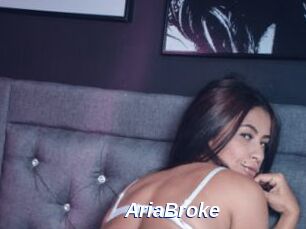 AriaBroke