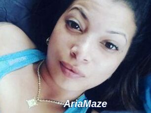 Aria_Maze