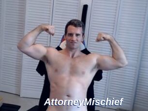 AttorneyMischief