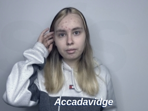 Accadavidge