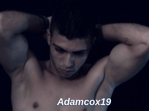 Adamcox19