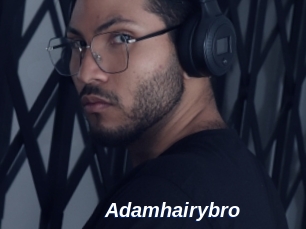 Adamhairybro