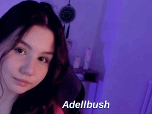 Adellbush