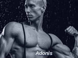 Adonis