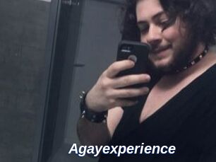 Agayexperience