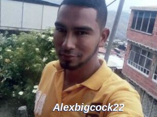 Alexbigcock22