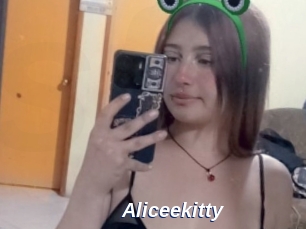 Aliceekitty