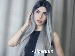 Alicequin