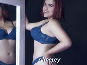 Alicerey