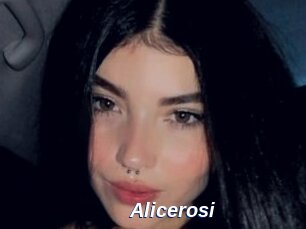 Alicerosi