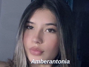 Amberantonia