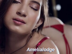 Amelialodge