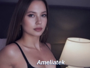 Ameliatek