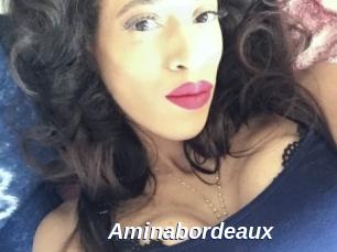 Aminabordeaux