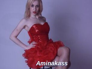 Aminakass