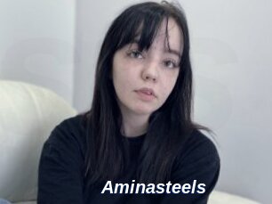 Aminasteels