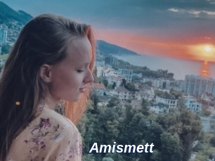 Amismett