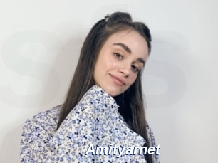 Amityarnet