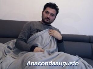 Anacondaaugusto