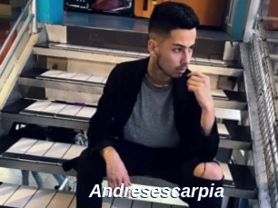 Andresescarpia