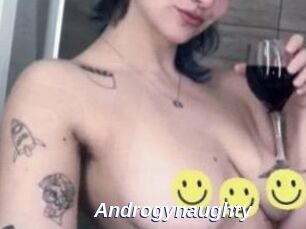 Androgynaughty