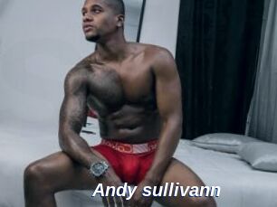 Andy_sullivann