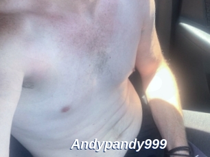 Andypandy999