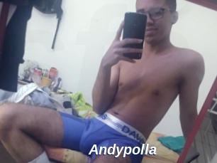 Andypolla