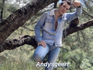 Andysgeert