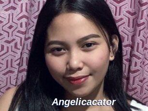 Angelicacator