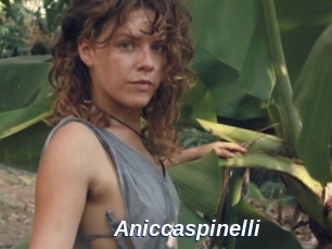 Aniccaspinelli