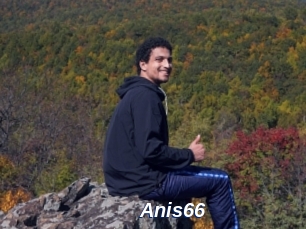 Anis66