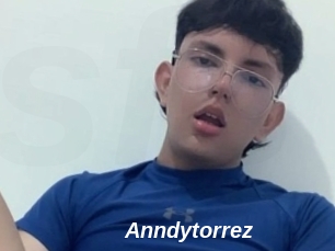 Anndytorrez